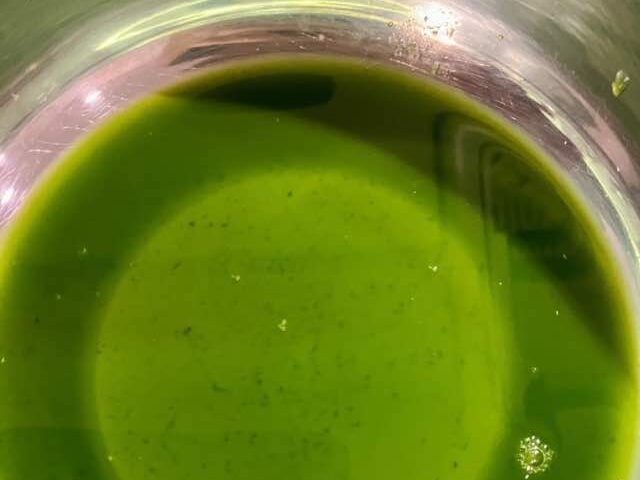 パンダンリーフの葉をハンディブレンダーで細かくし、絞ってできた緑色の汁