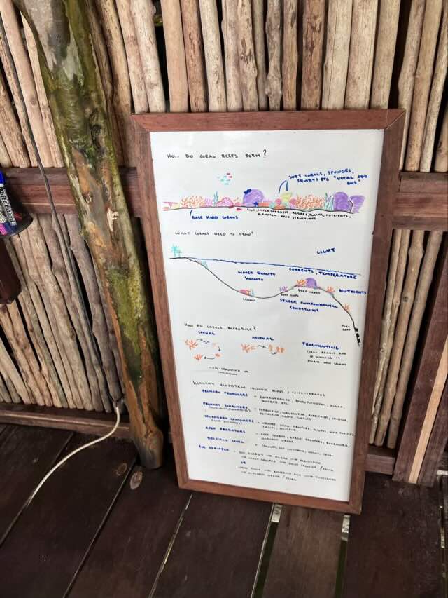 ホテルの食堂にあるホワイトボード。サンゴについての紹介や、潮の満ち引きについてのこめんとが日々更新されていく。