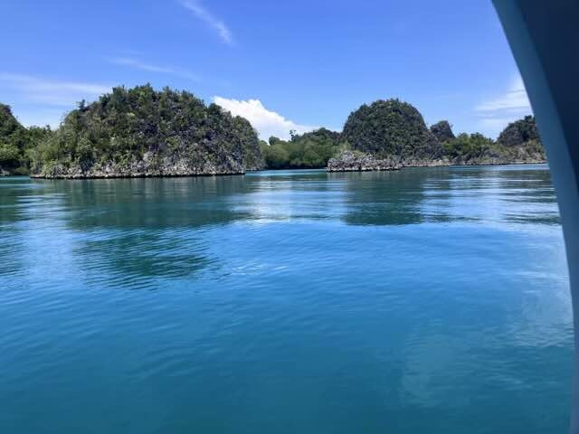 パッセージ、The Passageというラジャアンパットの名所。ボートで小さい島群を抜けていく通路のような場所。透き通る海に島の影が映ってなんとも幻想的な風景だった